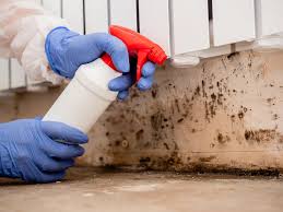 Best Mold Removal for HVAC Installations  in The Plains, OH